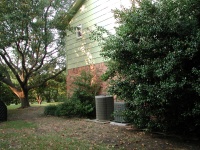 new window