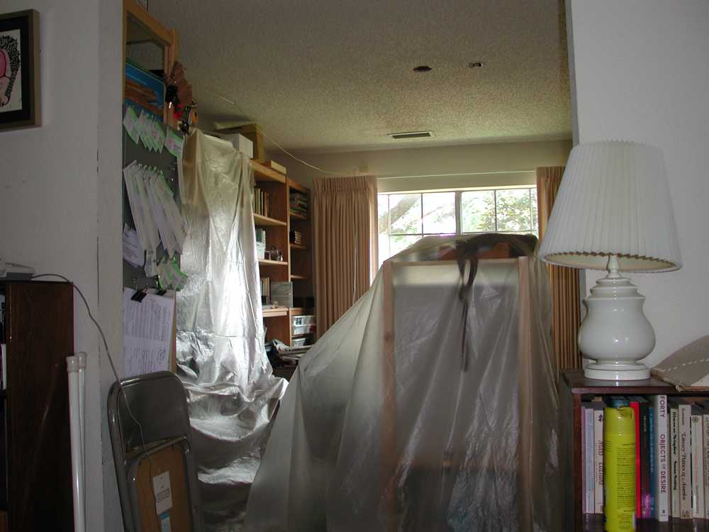 rodney under plastic