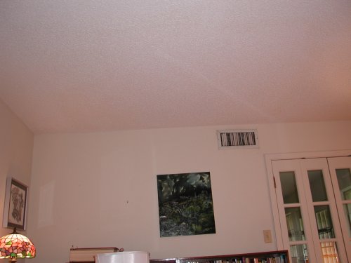 library ceiling